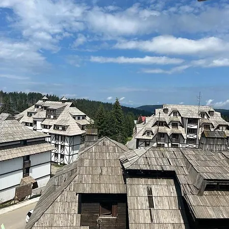 公寓 Montana 21 科帕奥尼克