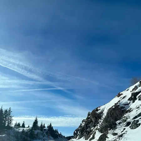 Montana 21 アパート *