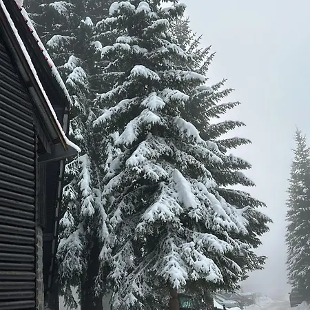 Montana 21 公寓 科帕奥尼克