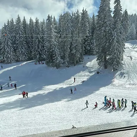 Montana 21 アパート *