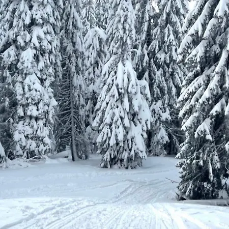 Montana 21 * コパオニク